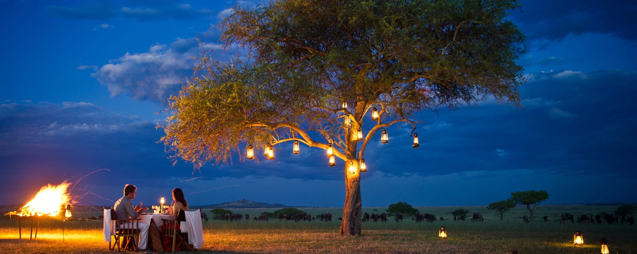 Romantic Escape Safari